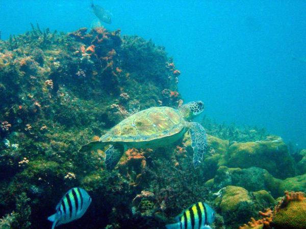 Pousada Tropical Aracatiba Praia de Aracatiba Luaran gambar